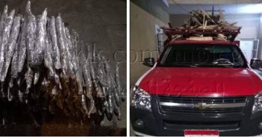 ضبط 3 متهمين بحوزتهم 60 كيلو من مخدر البانجو قبل ترويجها بالقاهرة