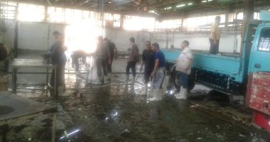 صور.. مجازر القليوبية تستقبل اضاحى المواطنين مجانا بإشراف طبى