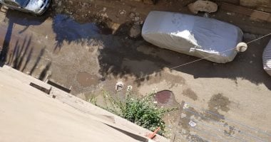 أهالى الزيتون يشكون من ظاهرة ذبح الأضاحى فى الشوارع