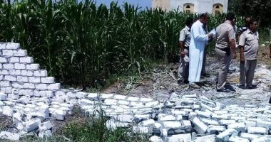 صور.. إزالة التعديات على أراضى زراعية فى ثانى أيام العيد بكفر الشيخ