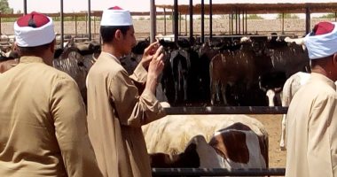 وفد قيادات أوقاف أسوان يتفقد عملية ذبح الأضاحى بمجزر الشرق الأوسط