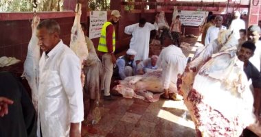 المجازر البيطرية تواصل ذبح الأضاحى بالمجان للمواطنين بأسوان.. صور