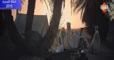 العرى على "الشرق".. قناة أيمن نور تواجه إفلاسها وقلة متابعيها بمشاهد عارية