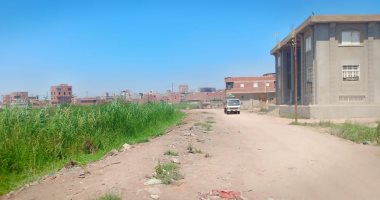 رئيس مدينة إسنا: منع توصيل المرافق للمتعدين على أراضى النوبيين