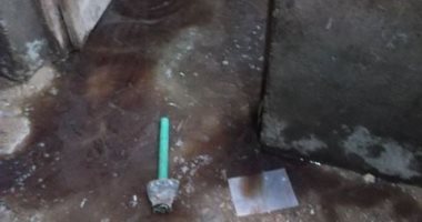 مياه الصرف الصحى تغرق المنازل.. شكوى من أهالى قرية صفانية بمحافظة المنيا