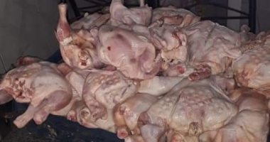إعدام ربع طن لحوم وفراخ غير صالحة بالغردقة وغلق منشأتين لنقص الاشتراطات الصحية
