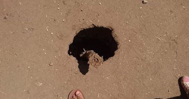 قارئ يشكو من هبوط أرضى بشارع محطة صرف بالمنوفية 
