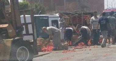 انقلاب سيارة نصف نقل محملة بالطماطم بطريق "السنطة - طنطا "