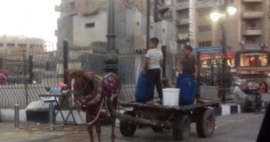 اضبط مخالفة.. عربة كارو تسير عكس الاتجاه بشارع البحر الرئيسى بطنطا