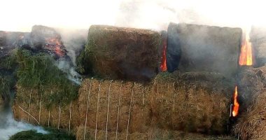 صور.. تجدد اشتعال حريق مزرعة شرق العوينات وتفحم 3 آلاف طن بالات برسيم