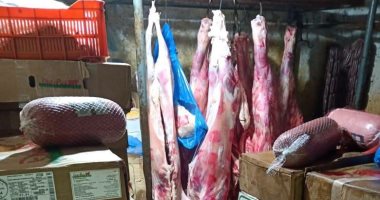 جهاز حماية المستهلك يضبط 2.5 طن لحوم غير صالحة ويحرر 225 محضرا للمخالفين.. صور
