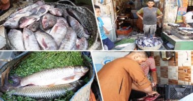 أسعار السمك اليوم الجمعة 30-8-2019 بسوق العبور