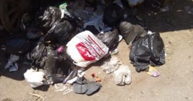 صور .. انتشار القمامة بشارع العروبة بإمبابة والأكوام تحاصر السكان 