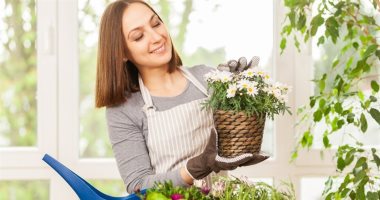 المركز الوطني لتنمية الغطاء النباتي يمثل السعودية بالمؤتمر الإقليمي للسنة الدولية للمراعي 