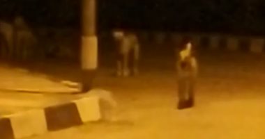 فيديو.. أهالى مراقيا الجنوبية يشكون انتشار الكلاب الضالة