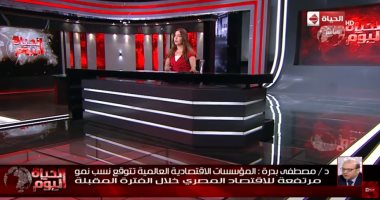 خبير اقتصادى: اقتصاد مصر "قصة نجاح"