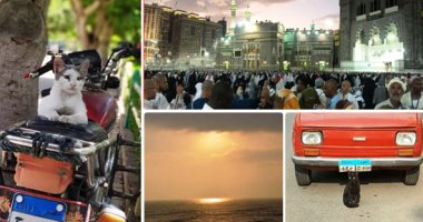 فى اليوم العالمى للتصوير.. قراء "اليوم السابع" يستجيبون للمبادرة.. القطط تحتل المركز الأول.. صور الغروب بالمركز الثانى.. الحرمين وبرج الساعة فى القائمة.. وطفلة مصرية تزين شاطئ أبو ظبى
