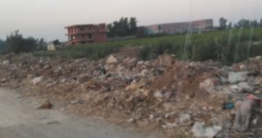 قارئ يشكو من تراكم القمامة على طريق المحله العثمانية بشبيش