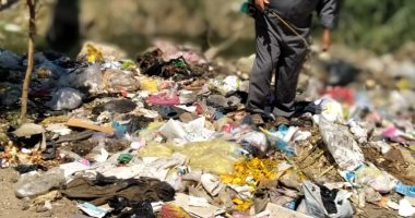 صور.. "صحة الشرقية": لم نرصد أى البعوض الناقل للملاريا وحمى الدنج