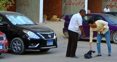 متتهورش مع المصريين.. شوف رد فعلهم لو رميت زبالة فى الشارع