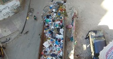 صندوق قمامة كبير وسط المنازل.. شكوى أهالى شارع الرازى بمحرم بك بالإسكندرية