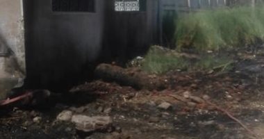  السيطرة على حريق فى أشجار النخيل والمخلفات بمدينة البياضية بالأقصر