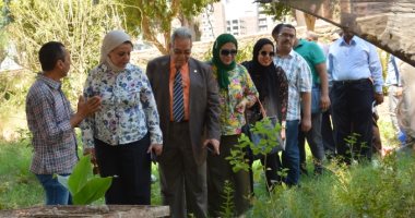 جامعة أسيوط : نجاح شباب صنايعية مصر فى استنبات 5 آلاف شتلة مانجو 