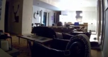 شاهد.. دب ضخم يتجول داخل منزل فى كاليفورنيا