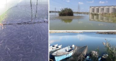 الصرف الصحى بالإسكندرية: إنشاء شبكات مراقبة جودة على مياه الصرف ببحيرة مريوط