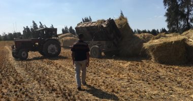  البيئة: إجراءات رادعة ضد المخالفين لمنع حرق قش الأرز والحد من التلوث