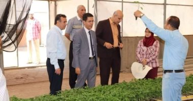 زراعة بنها تستعد للموسم الجديد لزراعة الصوب الزراعية