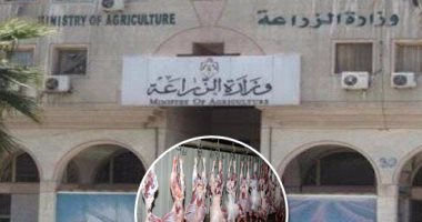 لأول مرة قواعد جديدة لمحال جزارة اللحوم.. وتحديث منظومة الذبح والتداول.. "الخدمات البيطرية": خطة تطوير تستهدف 147 مجزرا آليا للحد من الذبح خارج السلخانات ومنع المتلاعبين.. وتؤكد: تغريم من يمتنع عن التنفيذ