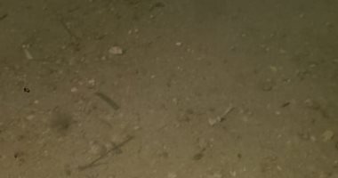 قارئ يشكو من سوء حالة الأسفلت بشارع أحمد عبد العزيز طوخ القليوبية