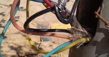 قارئ يشكو خروج أسلاك كهرباء من أحد الأعمدة بالحى السادس عشر بالشيخ زايد