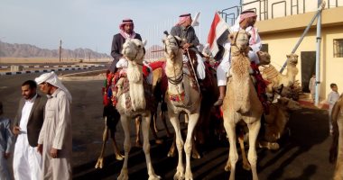 صور .. ملاك الإبل من شباب مصر يشاركون فى سباق ولى العهد بالسعودية