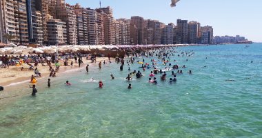 إدارة مصايف الإسكندرية: الشواطئ آمنة من أسماك القرش