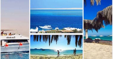لماذا الغردقة ضمن أفضل 25 وجهة سياحية حول العالم؟.. شواطئ جزر الجفتون وأبو منقار ومجاويش وشعاب العرق والفانوس وبيوت الدولفين بها.. ومواقع الغوص جذبت لها سياح أوروبا.. نقيب المرشدين: تتميز برحلات السفارى (صور)