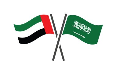 سبع لجان لتحقيق التكامل الإماراتى السعودى فى المجالات الحيوية