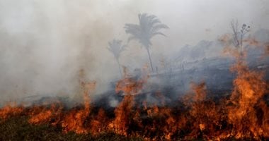 مصرع شخصين بسبب حرائق الغابات جنوب إيطاليا