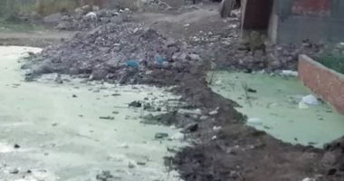 شكوى من تراكم القمامة ومخلفات محلات الطعام فى شارع عمر بن الخطاب بشبر الخيمة