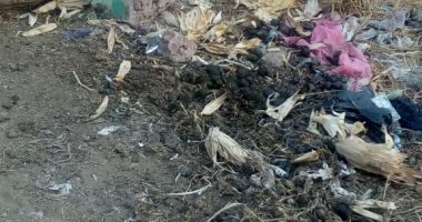 صور.. شكاوى من غرق شوارع كفر الجنينة بالمحلة بالصرف الصحى وتراكم القمامة