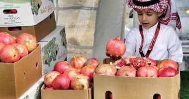 انطلاق مهرجان "الرمان الوطنى السعودى" الشهر القادم فى مدينة "الباحة ...