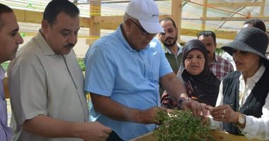 صور.. محافظ الوادى الجديد يتفقد مشروع زراعة أشجار المورينجا بالخارجة