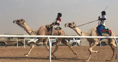 صور.. الهجن المصرية تحقق المركزين الأول والثانى فى أشواط سباق ولى العهد بالسعودية