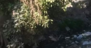 شكوى من تلوث عزبة ذو الفقار بكرداسة بمياه الصرف الصحى