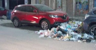 قمامة بجانب سور كلية تربية نوعية.. شكوى سكان مدينة طنطا