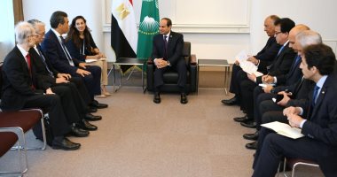 السيسى يلتقى رئيس جامعة هيروشيما.. ويؤكد اهتمام مصر بتطوير التعليم العالى