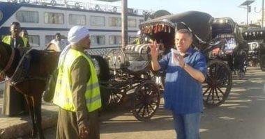 صور.. إحالة موظف بمجلس مدينة إدفو للتحقيق لاستخراجه رخصة حنطور لـ"طفل"