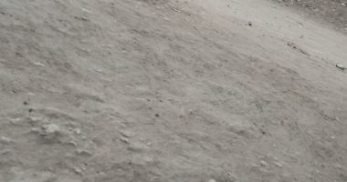 أهالى المصيلحية يشكون من عدم رصف طريق داير الناحية بالمنوفية بعد توصيل الصرف
