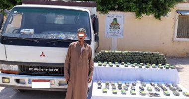 إحباط تهريب 1000 طربة حشيش بقيمة 6 ملايين جنيه..صور